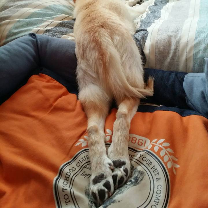 2cfe3d07 4db0 4004 b813 cd91c4b7015b