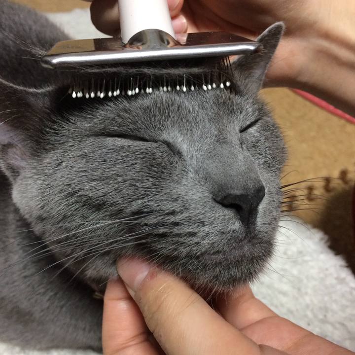 2cfeb7ea 25d6 42ca 9cb8 a54cf40e242a