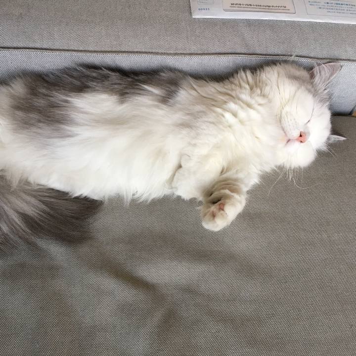 2cfeea95 b3d9 4131 9d45 45397945621c