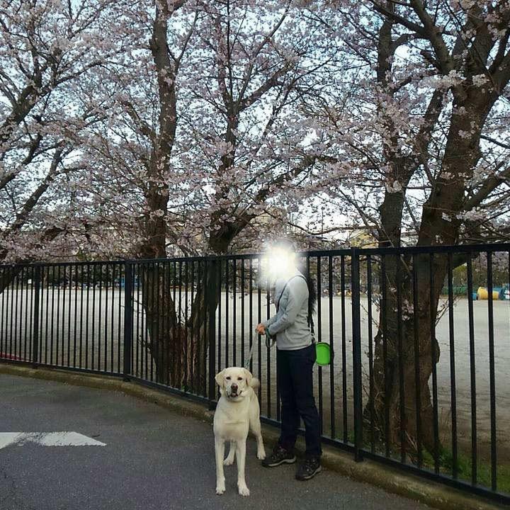 2cff0cb5 6e24 4b4e 877e a5b0c2c92a34