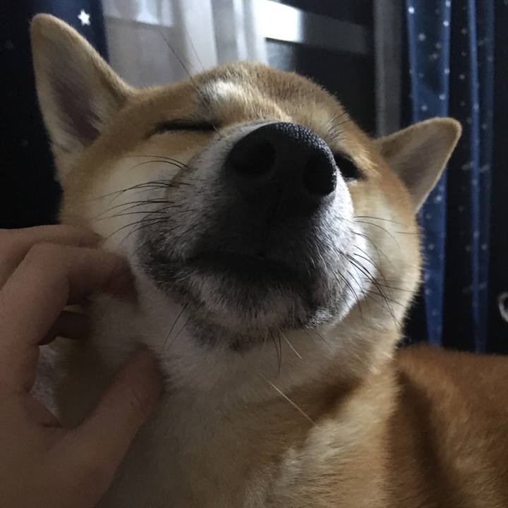 2cff4640 3599 4e7e b08a 68da7c43eb09