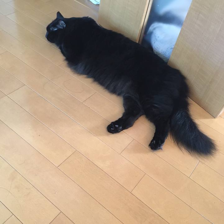 2cffd0c9 0d76 4f62 adb6 fbd841591107