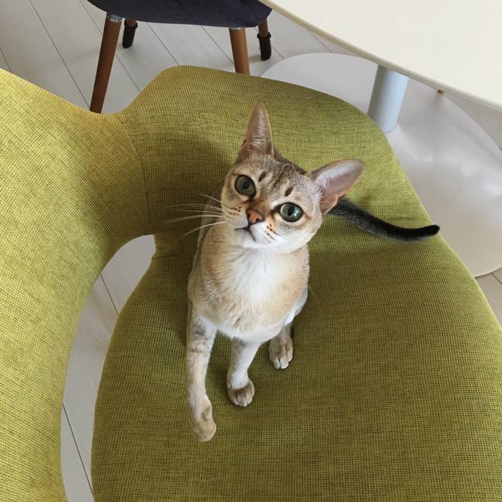 2cffd21d ed11 4d18 9127 1f54c90f4911