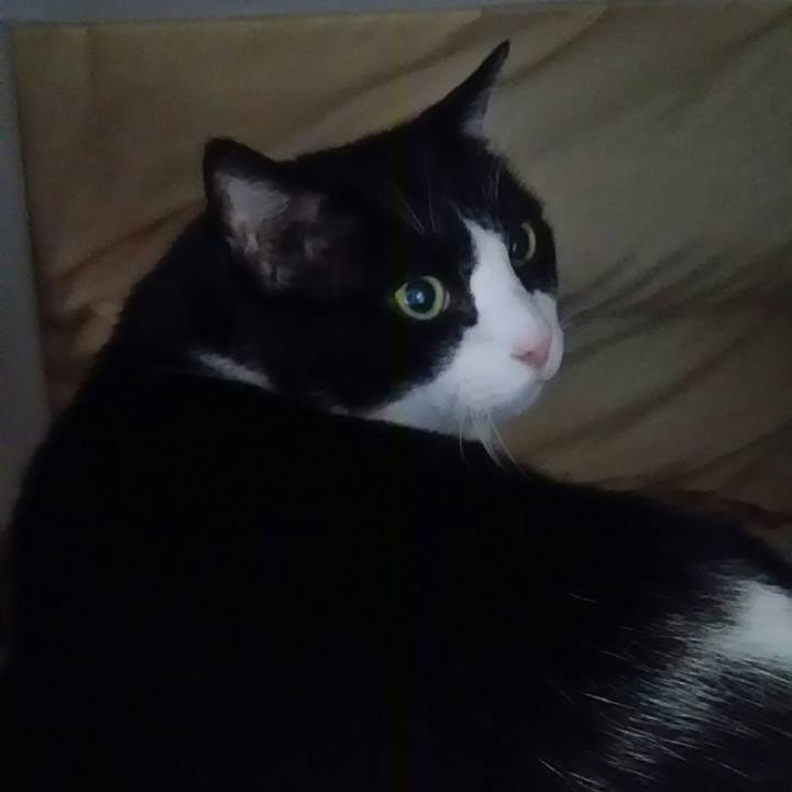 2cfffbe4 b634 4689 b73d d9a5495d2964