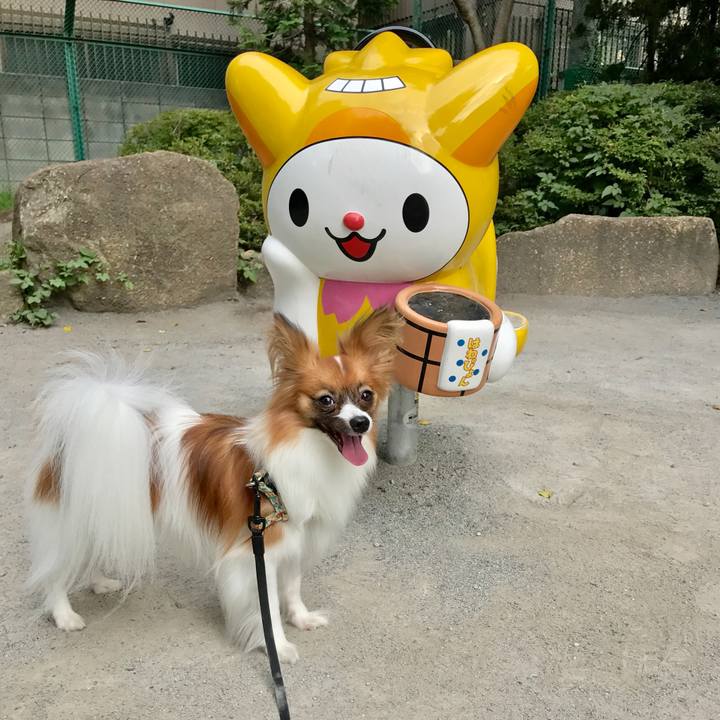 2d000181 83cf 4b9a 82be 7d10c1b61ce0