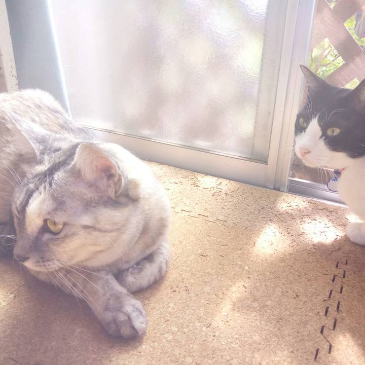 2d000520 22c4 4e1d 9957 4497f59020ec