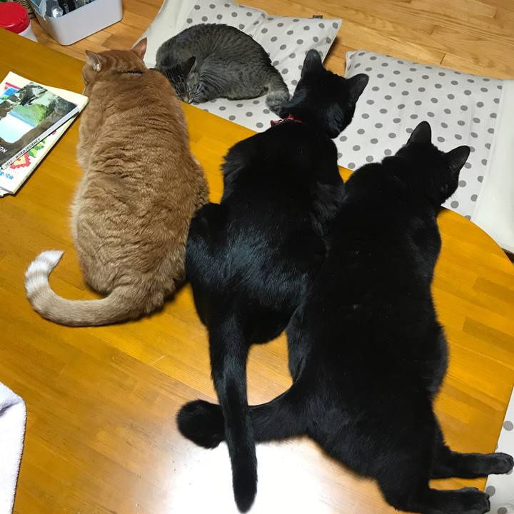 2d002052 49a0 413e a9ce 22415628bf67