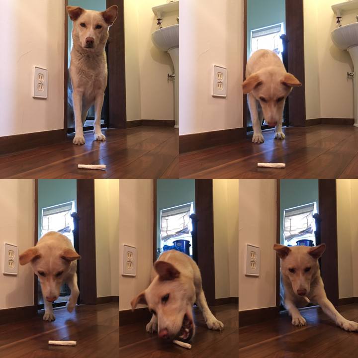 2d00b0a9 99a8 434f 82c4 c232d9847156