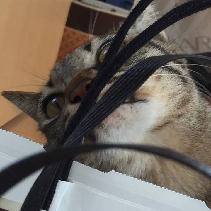 2d014ba2 2c57 439c 8434 03ac795c9fc1