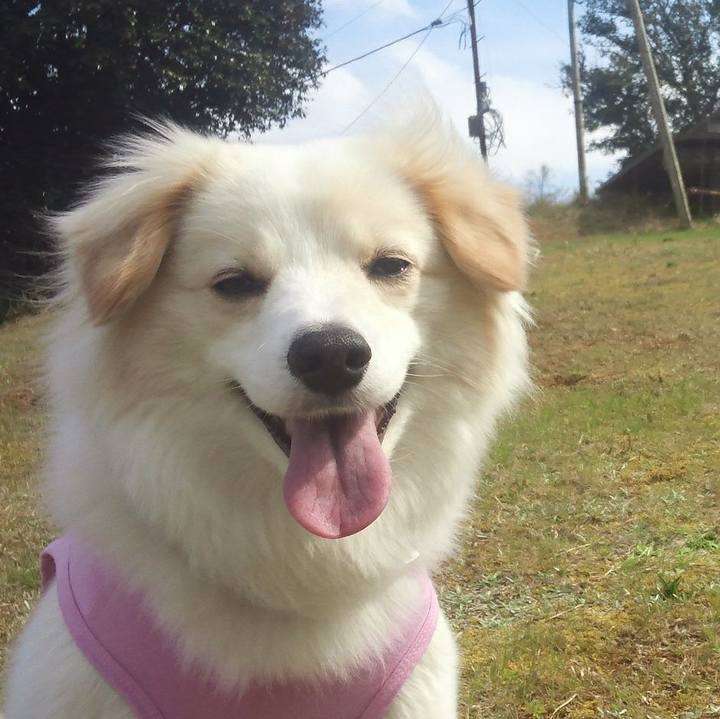 2d027939 fb79 4392 8553 51e49887041a