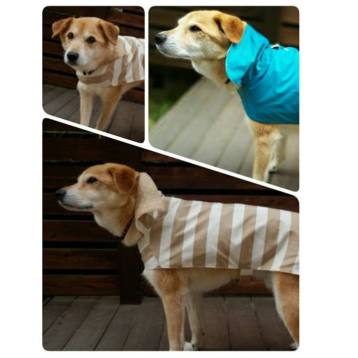 2d02de7f 7530 4009 8bb4 37affb625252