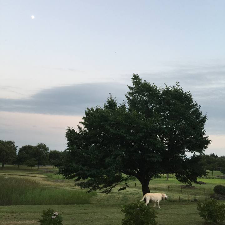 2d030765 9da4 44a1 a1fd 283d929862d8