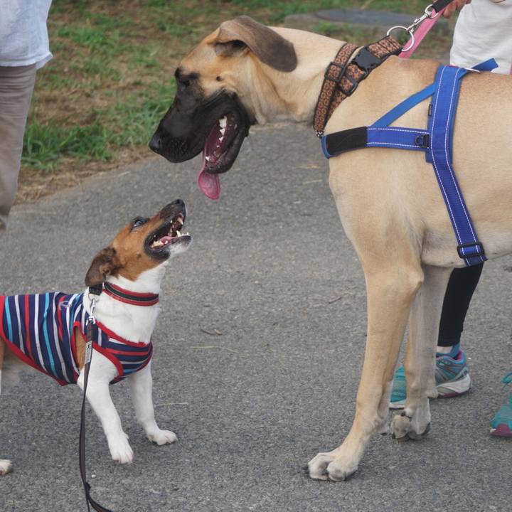 2d0324f7 4306 4d4f a032 7b6dc9fff410