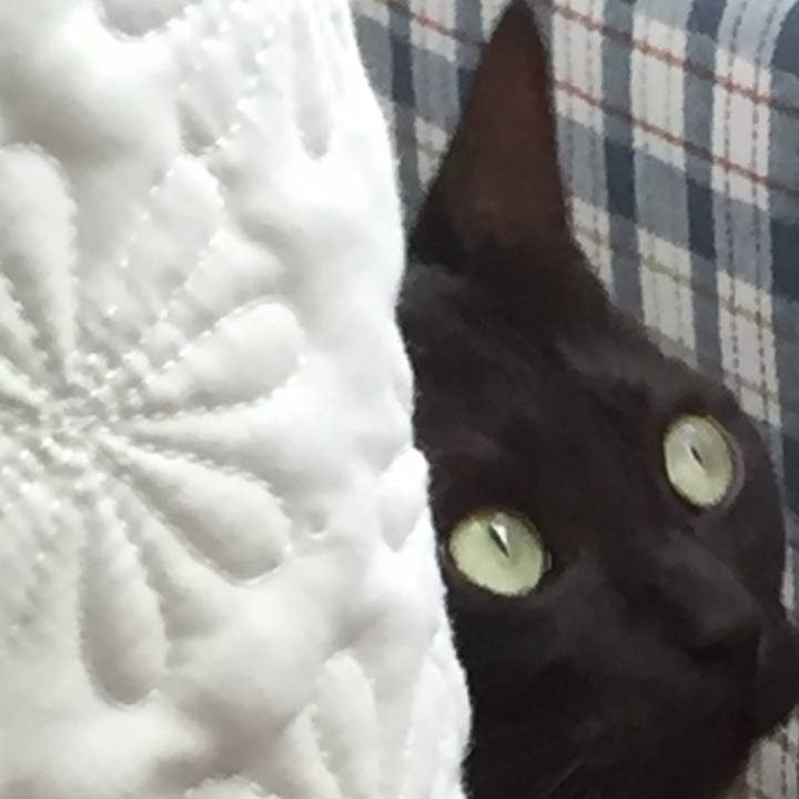 2d036a1b d157 4d3b 95cb 076544a6a992