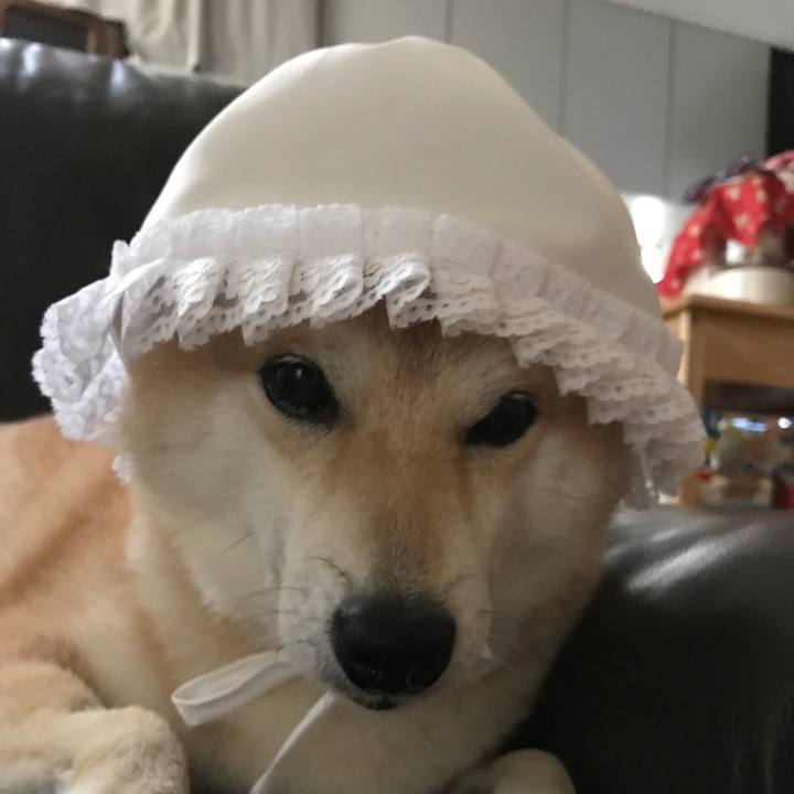 2d037615 bcfb 4f96 a7f4 87b71fedc9bc