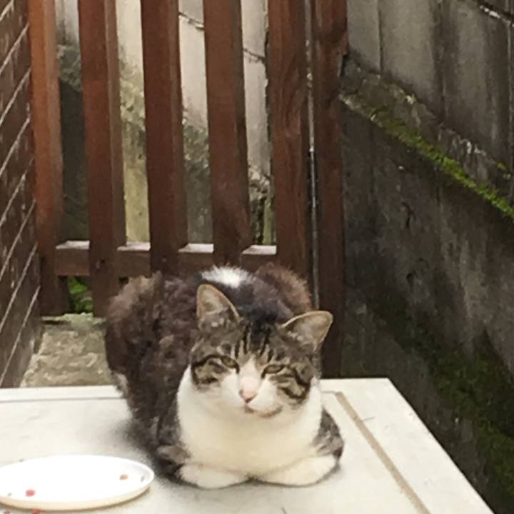 2d040dc4 81ed 48bc ab34 c9f59759d77e