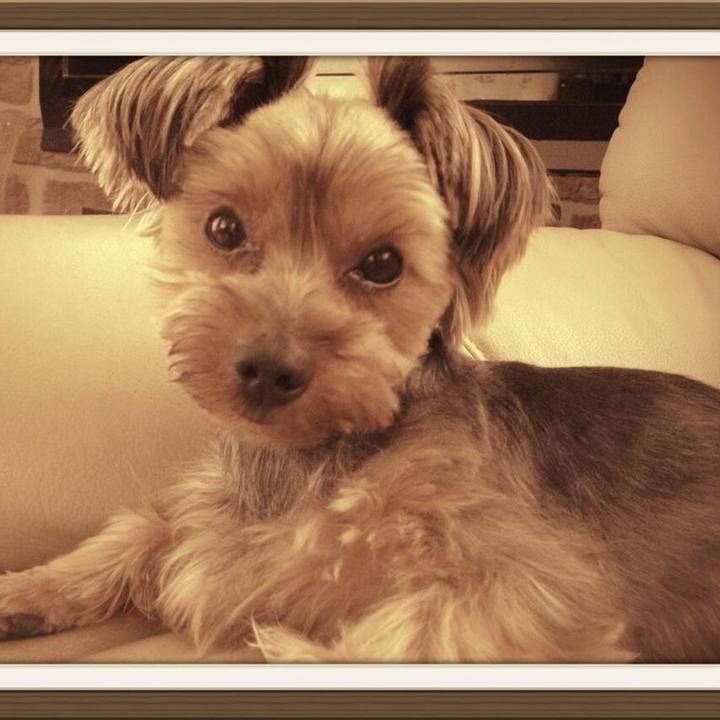 2d041434 4576 4765 ac88 f72a06e97d8c