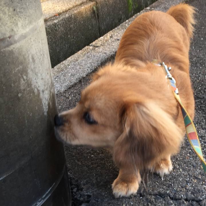 2d043462 7bbd 4587 93ef 1feacd6b5e19