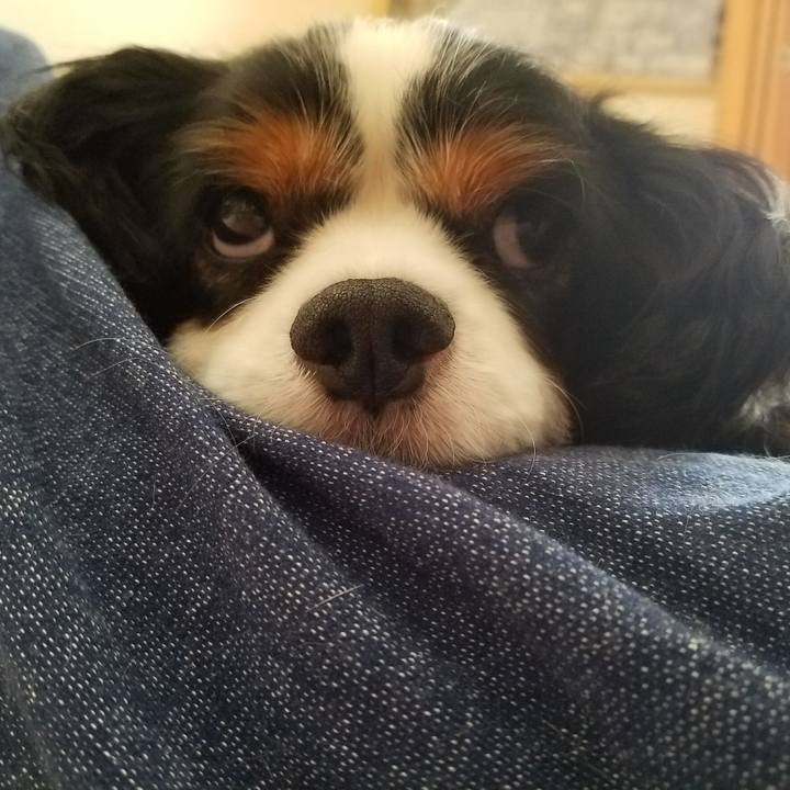 2d044462 83b6 488a 8040 ed3ada4f954a