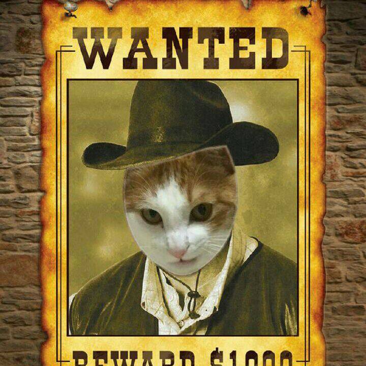 2d059b18 8043 45e5 a87a 05f2e6ffcf9c