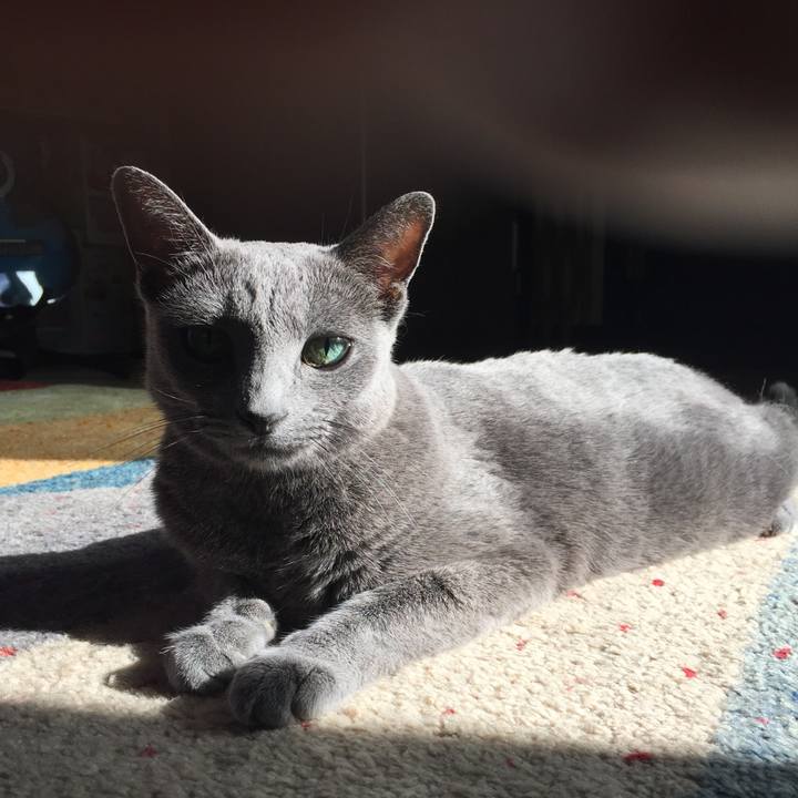 2d059b2a 25ba 4d1e a562 57130669fbce