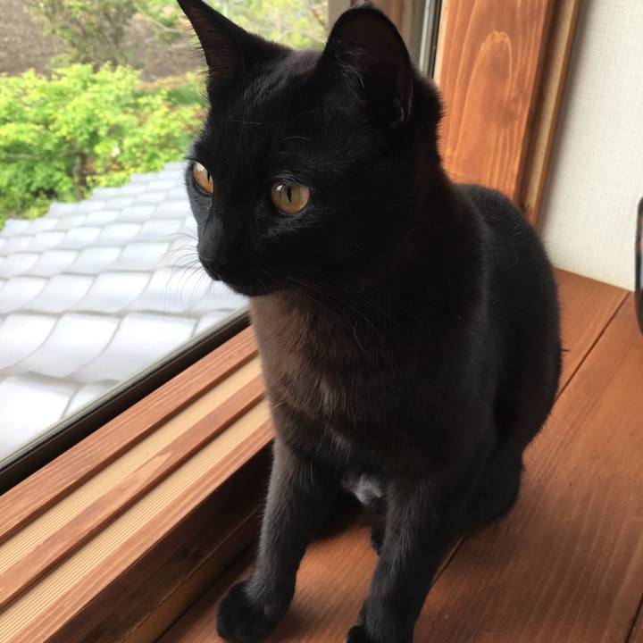 2d05c560 6a6d 48c9 8a3c 0001cf4f7cb3