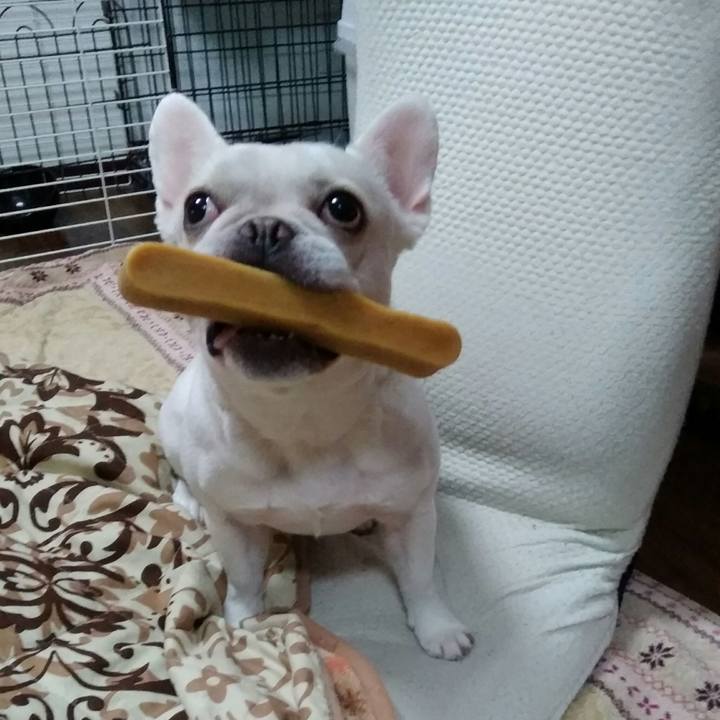 2d066176 cadc 45a2 ab09 1f977d044128