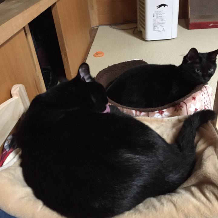 2d06a915 da94 45c2 9903 1cff66f4df9e