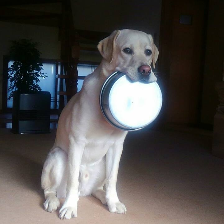 2d07223e 1d15 4381 a0f5 186ba30b2653