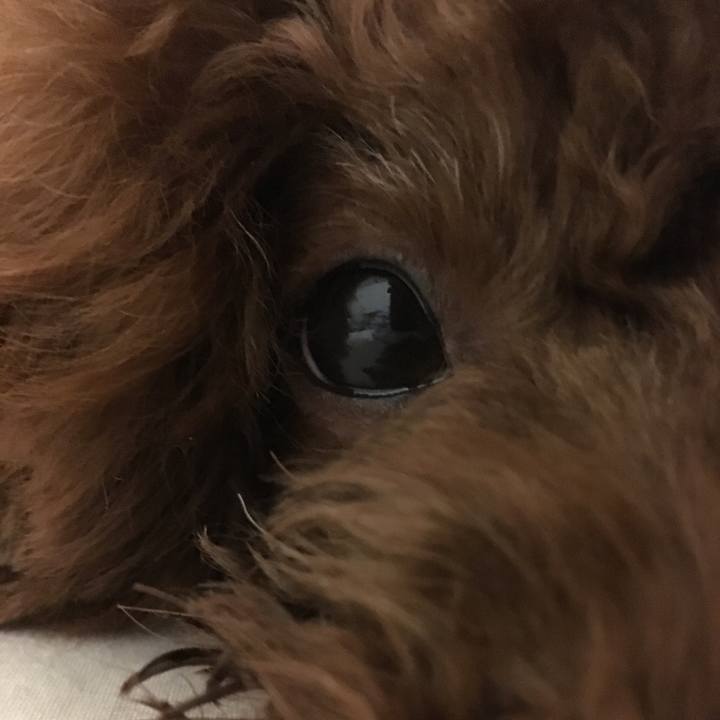 2d073c6b cdd9 4255 93bb 3d1616fe19c8