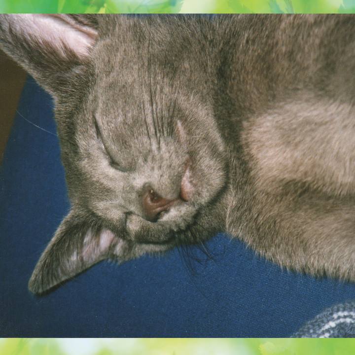 2d075037 daaf 491c ad59 7e94f0f402b3