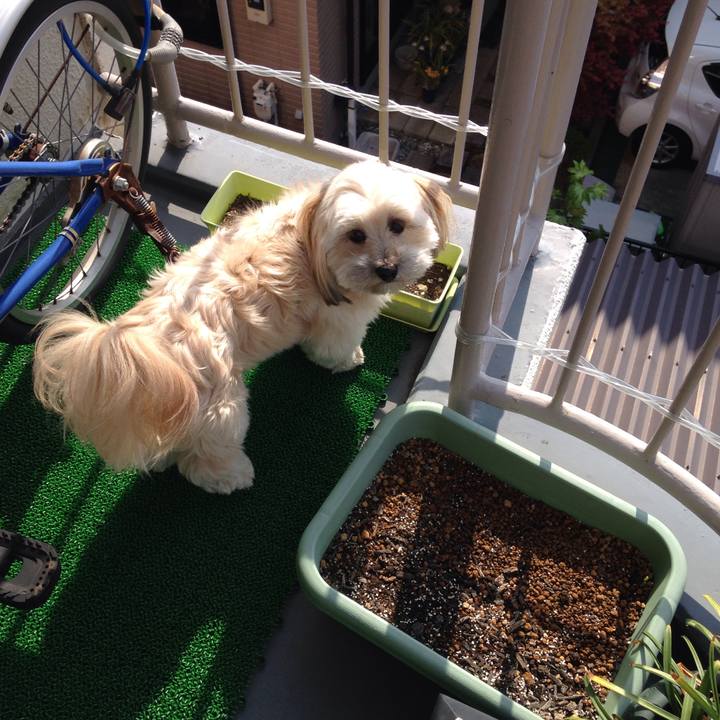 2d075728 0d2d 41db a45d 3b9aa2b634ba