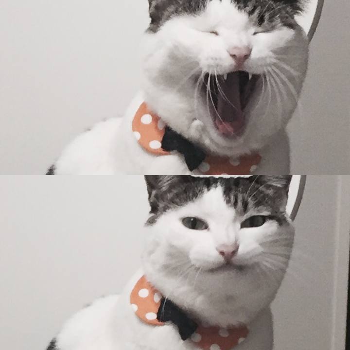 2d0789ff 2f02 4288 92ad dc7755f812c9