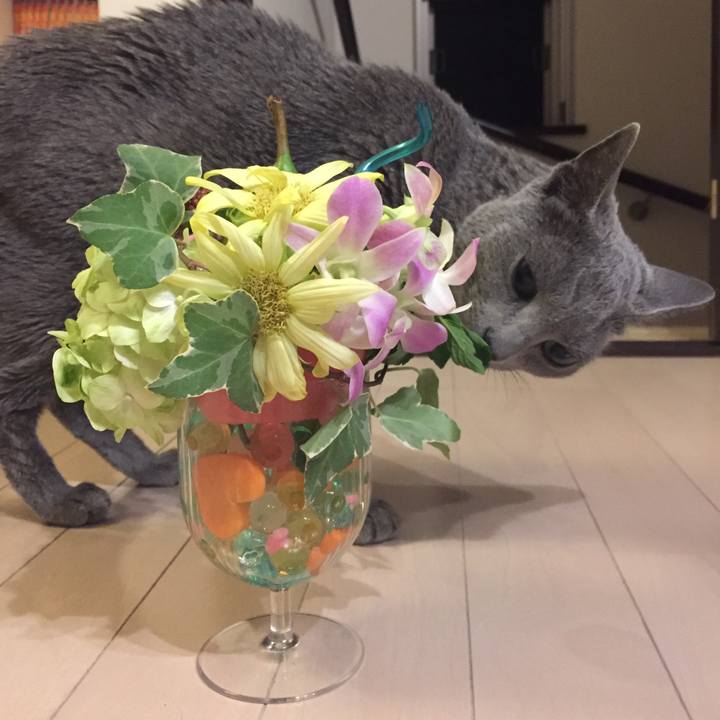 2d0796ab 7f59 431e a5c2 00d076697045