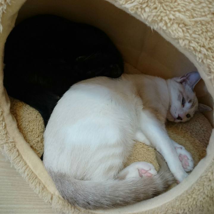 2d07b3a7 9f55 4677 bb8e 97fa2c2725d6