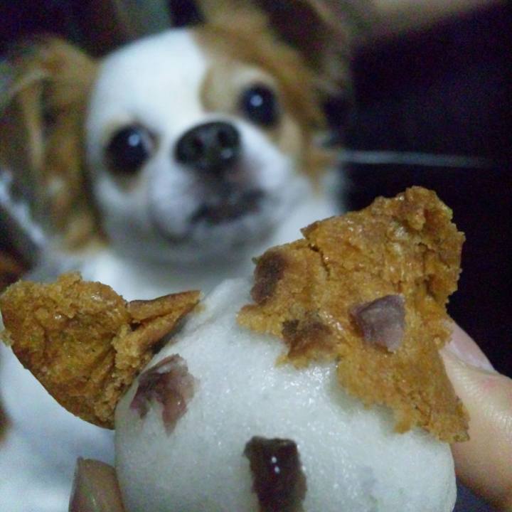 2d07e6c0 3dd1 4dab afe5 86a005c5b2db