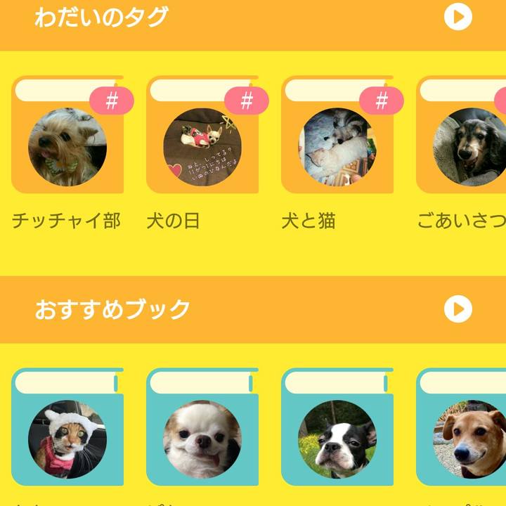 2d0823ce 075f 4e99 95cc ad3024e63ee2