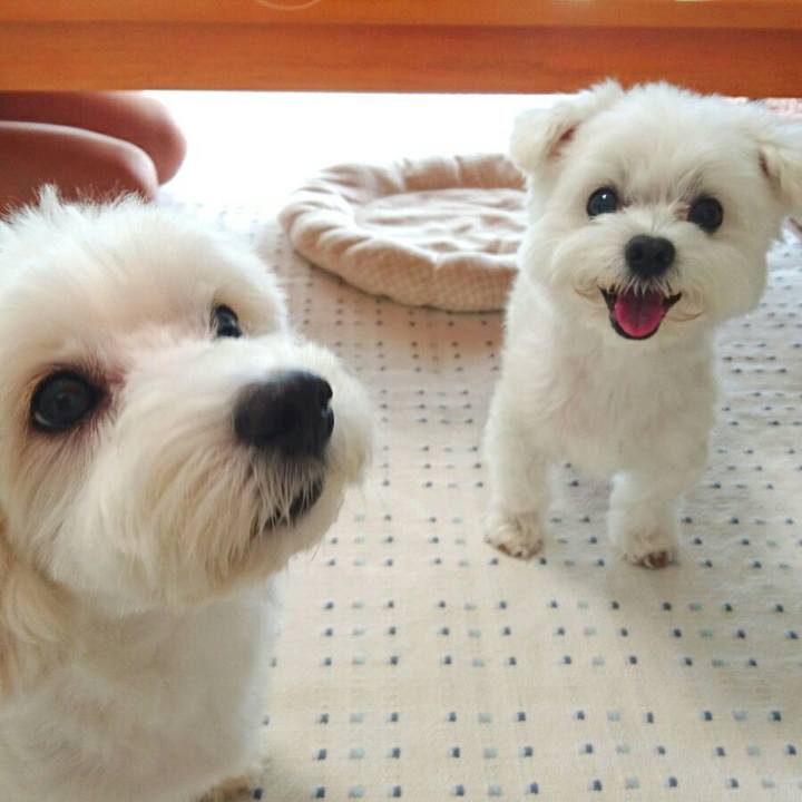 2d08a205 b9c2 4d31 9391 cbbf863e44d6