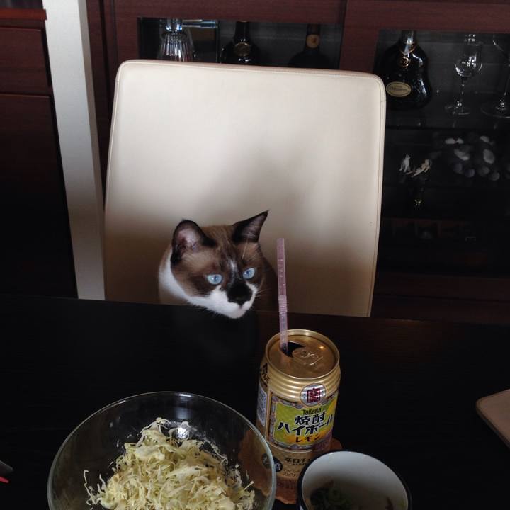 2d0999d5 bb46 4f88 96d4 f4e95ec96017