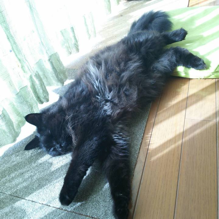 2d09b085 70a3 4af6 8353 225fbd92f1b7