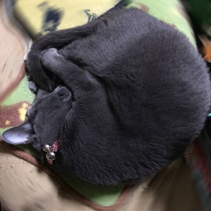 2d0a1213 0ca8 4165 b296 2013476e3042