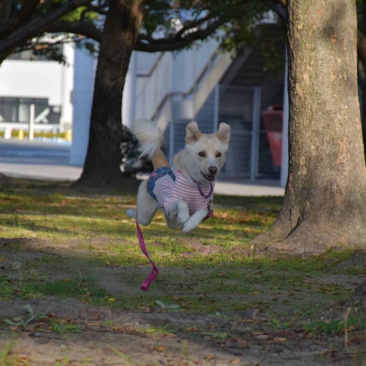 2d0a5a78 e2df 4c67 b128 d14b7475edc0