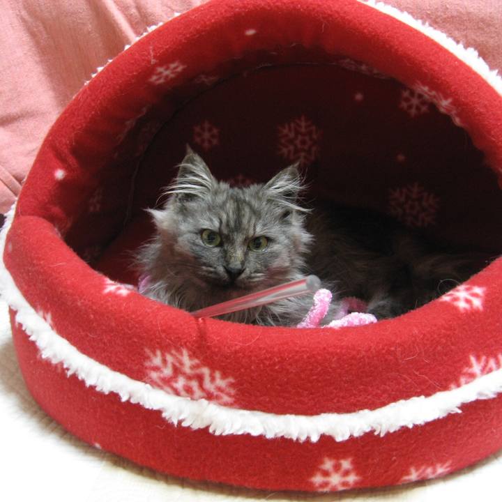 2d0a7d6f 57f3 47f5 96c4 b085c990058b