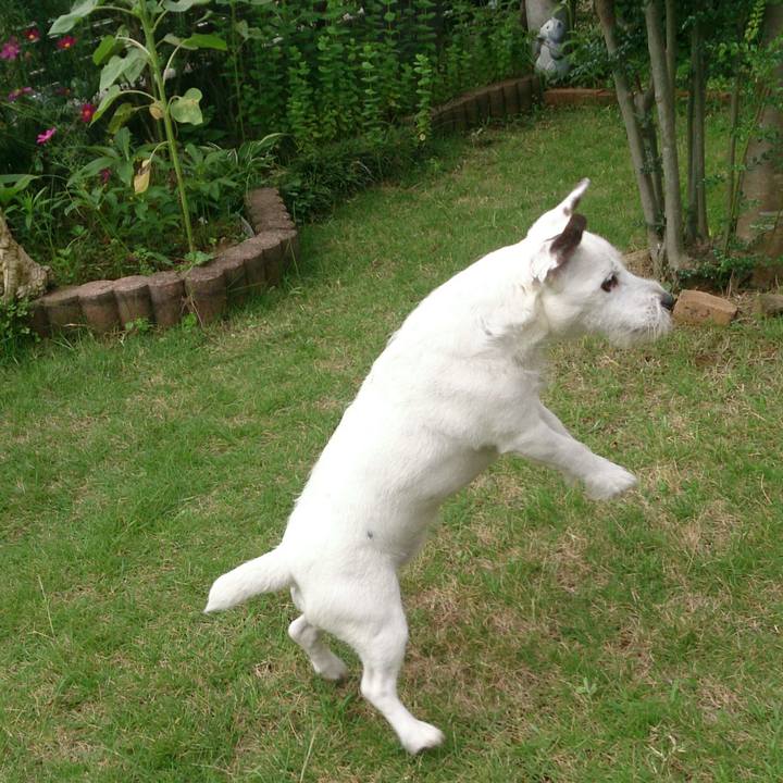 2d0ae0b4 c3e0 41a7 80a2 5435a543dcb8