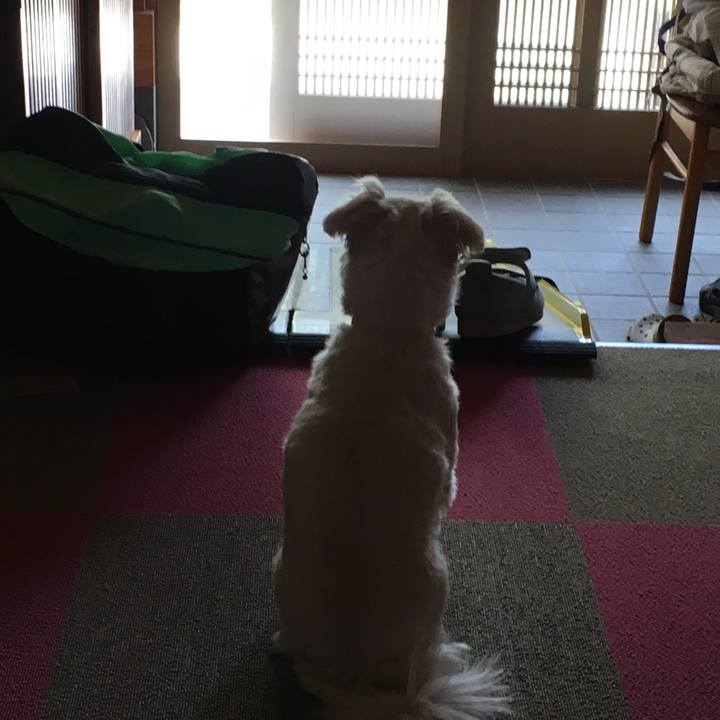 2d0aee62 3211 49d2 a665 de66d6ee292f