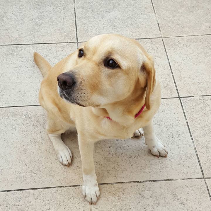 2d0b4549 9957 4e32 aa0f 952a9a5cebd2