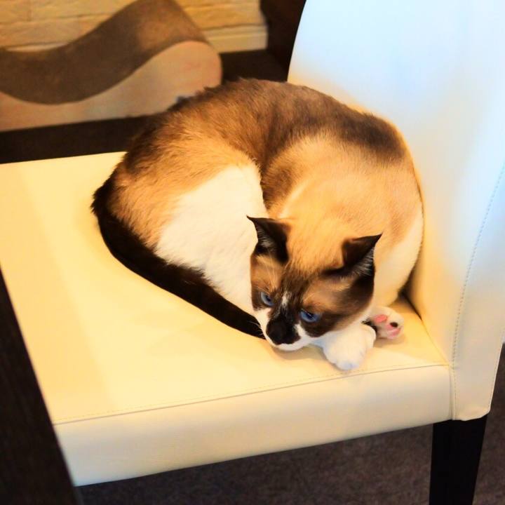 2d0b8b72 ab9b 47f4 8240 fcc498055074