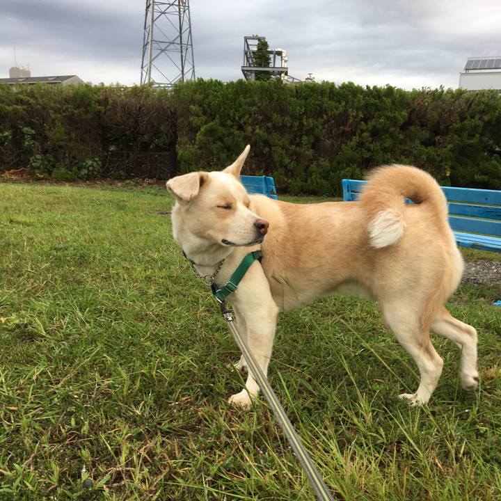 2d0bb2f1 f6ee 4fc1 a291 5bbe9eaa242e