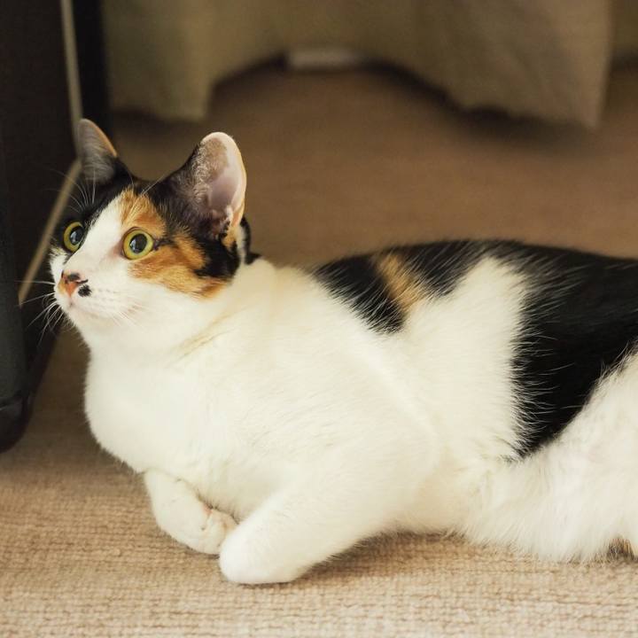 2d0bc51d 59a6 4daf affa 64057a702ef7