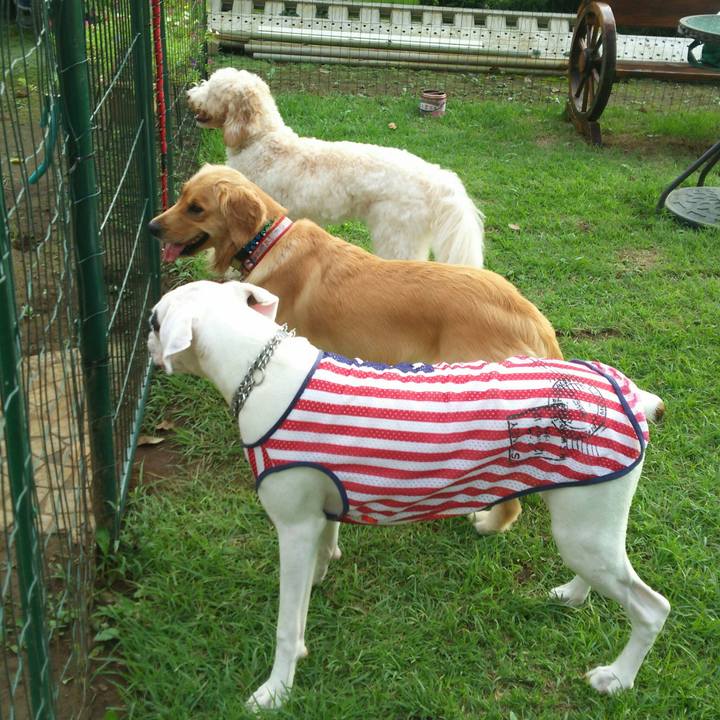 2d0bf8bc 9d52 4b45 b03e ea22f0cd4e16